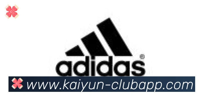 开云体育合作伙伴